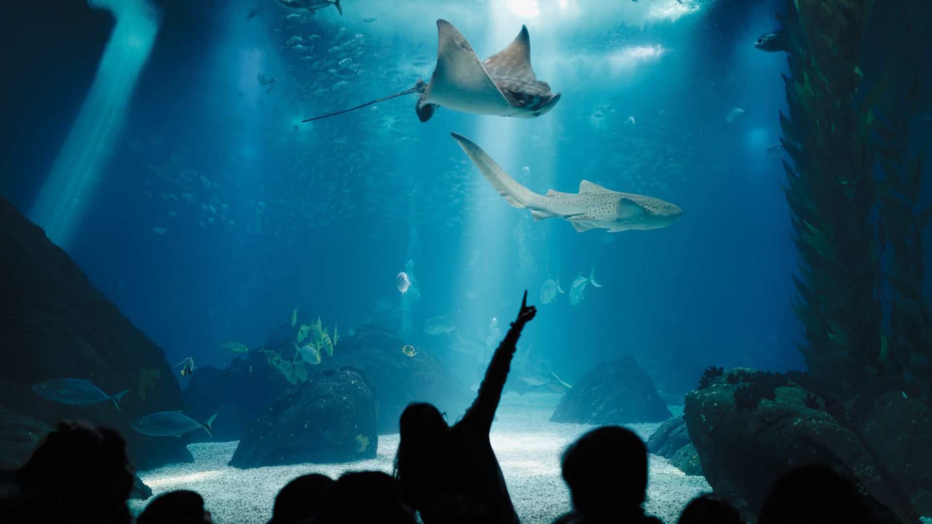 people at aquarium in Crete